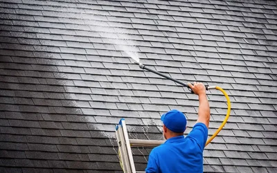 How a Clean Roof Can Save You Money