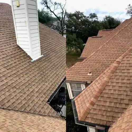 roof cleaning professionals