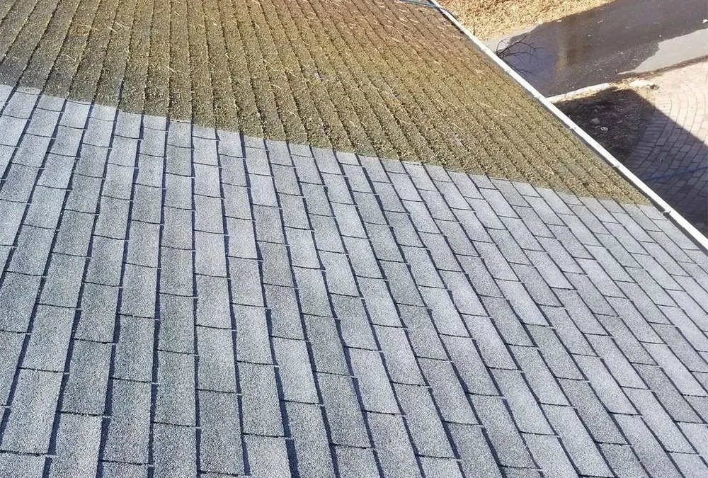 Expert Roof Cleaning Services in Round Rock, TX: Discover the Go Kleen Difference!